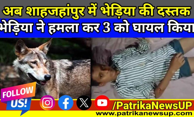 Shahjahanpur Wolf Attack