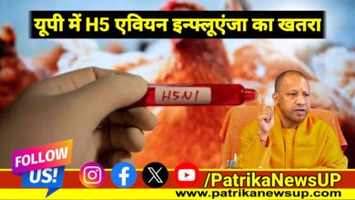 Lucknow News CM Yogi