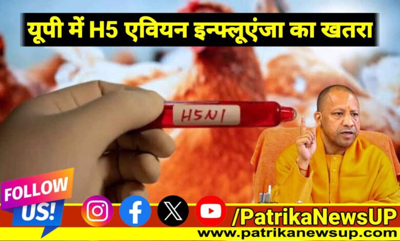 Lucknow News CM Yogi