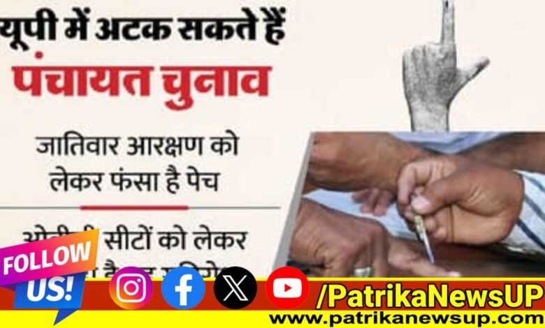 Panchayat Chunav News